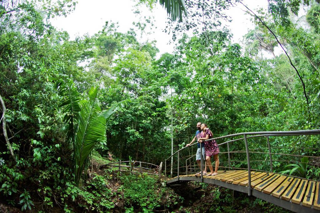 Jungle Vista Boutique Hotel Manuel Antonio Exteriér fotografie